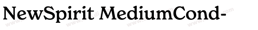 NewSpirit MediumCond字体转换